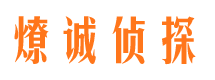 施秉出轨调查